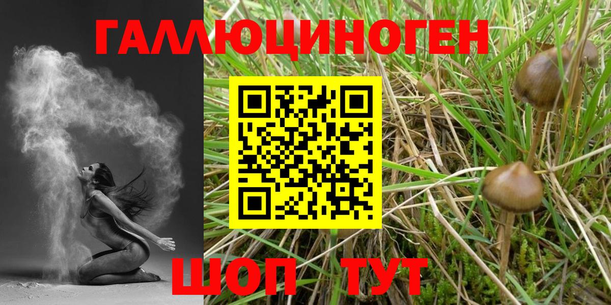 Кострома  Галлюциногенные грибы Cubensis  Вход с VPN 